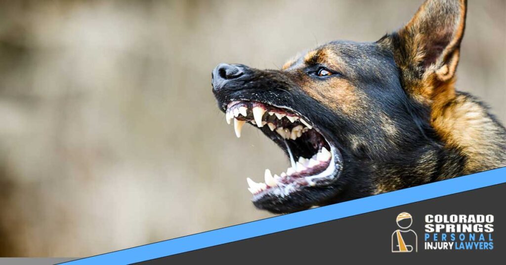 Cascade-Chipita Park Dog Bites and Animal Attacks Attorney