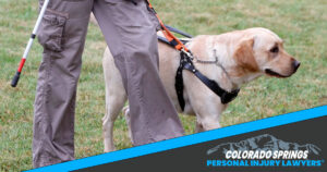 Service Dogs After a Personal Injury Accident in Colorado Springs